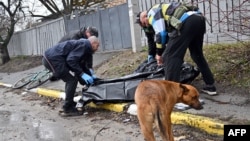 El perro junto a un hombre asesinado en Bucha, tras la retirada de las tropas rusas de la ciudad ucraniana. ( Sergei Supinsky/AFP/Archivo)